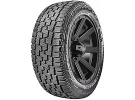 Pirelli