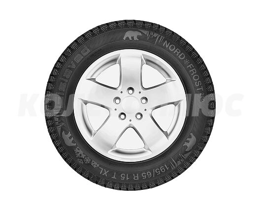 Gislaved Nord Frost 200 175/65R14 86T XL, с шипами  2